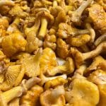 Girolles